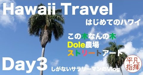 はじめてのハワイ Day3 「この木なんの木？、Dole農場、カカアコのストリートアート」