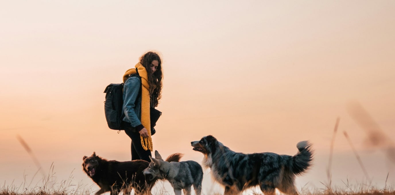 Paiges walking three dogs on a field