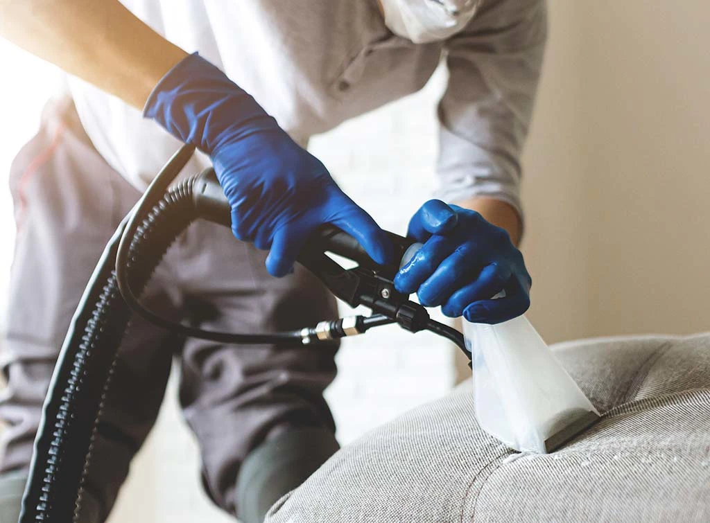 how to steam clean a sofa