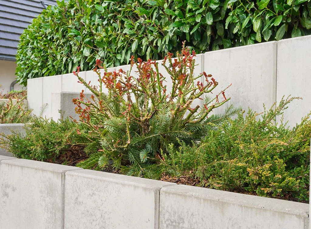 concrete retaining wall ideas