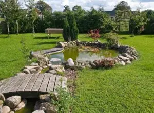 Common issue with pond leaks