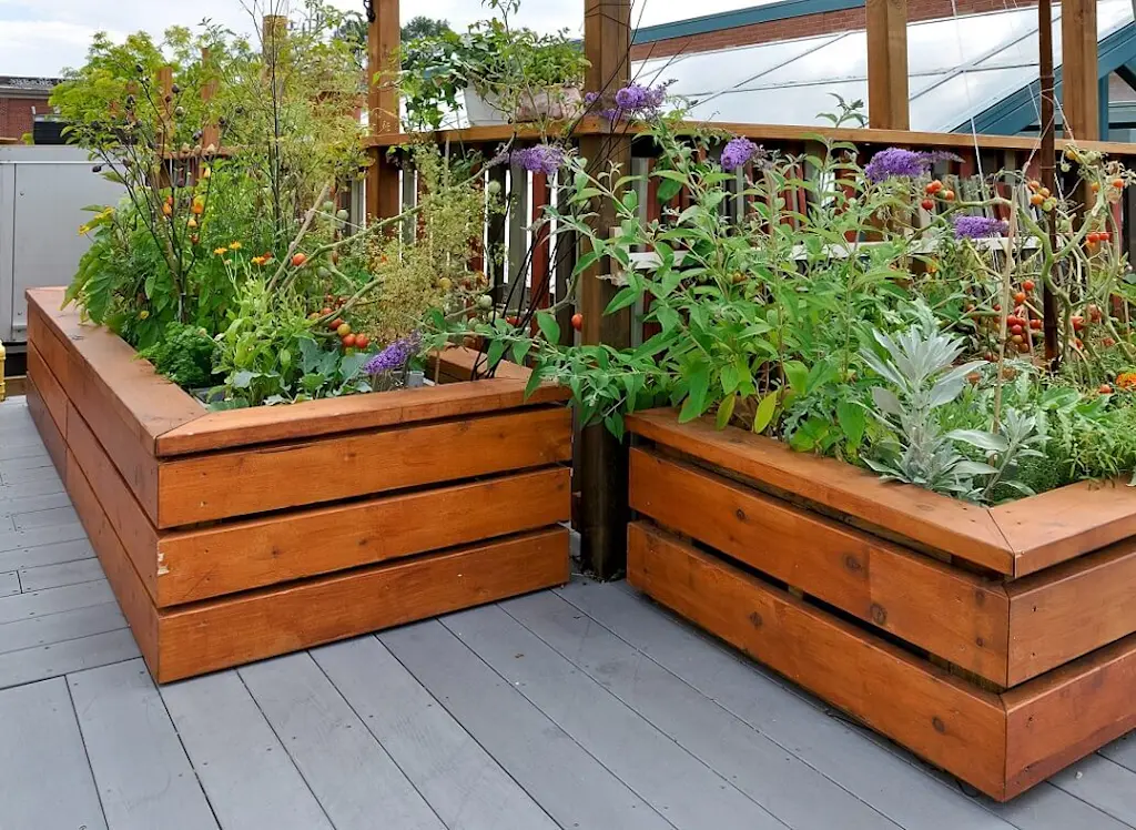 Rooftop garden raised beds