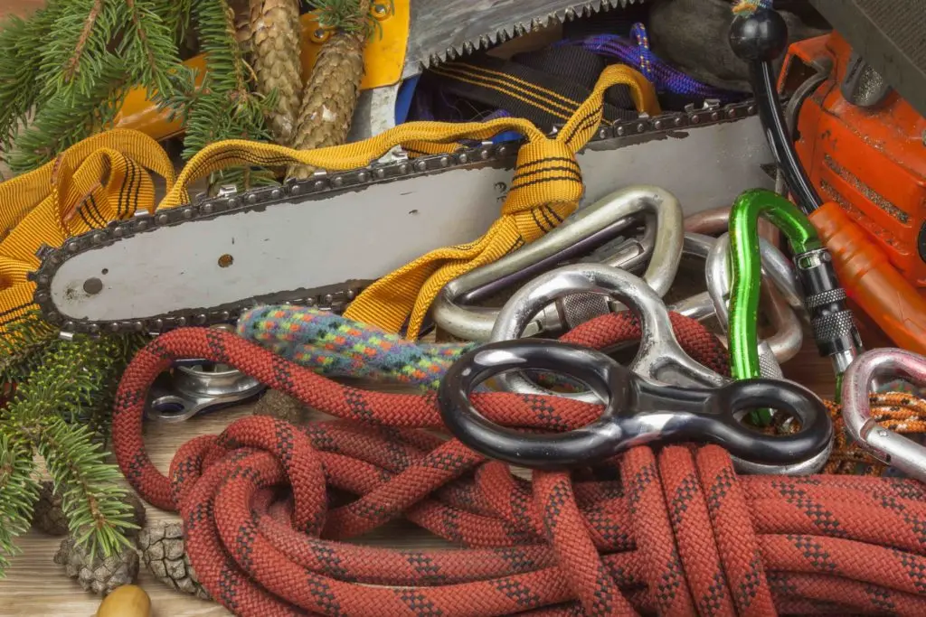 Becoming a tree surgeon includes qualifications and kit