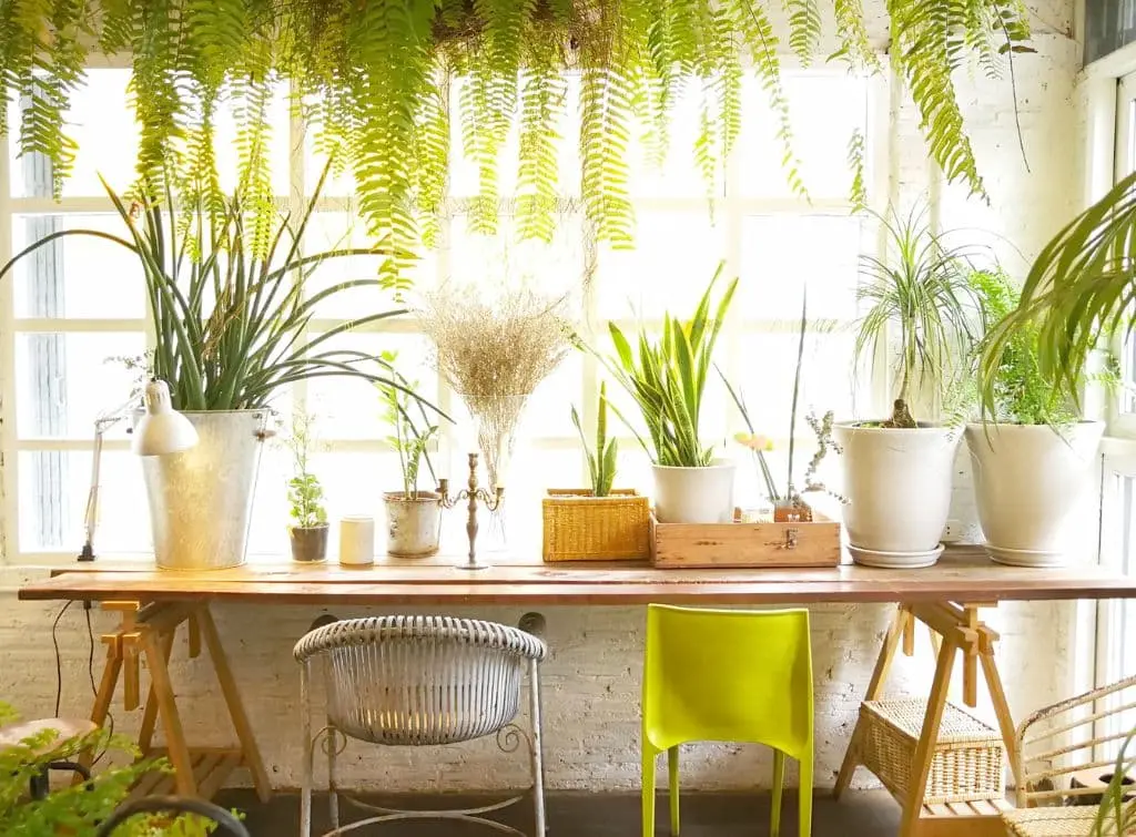 Classroom corner reading ideas