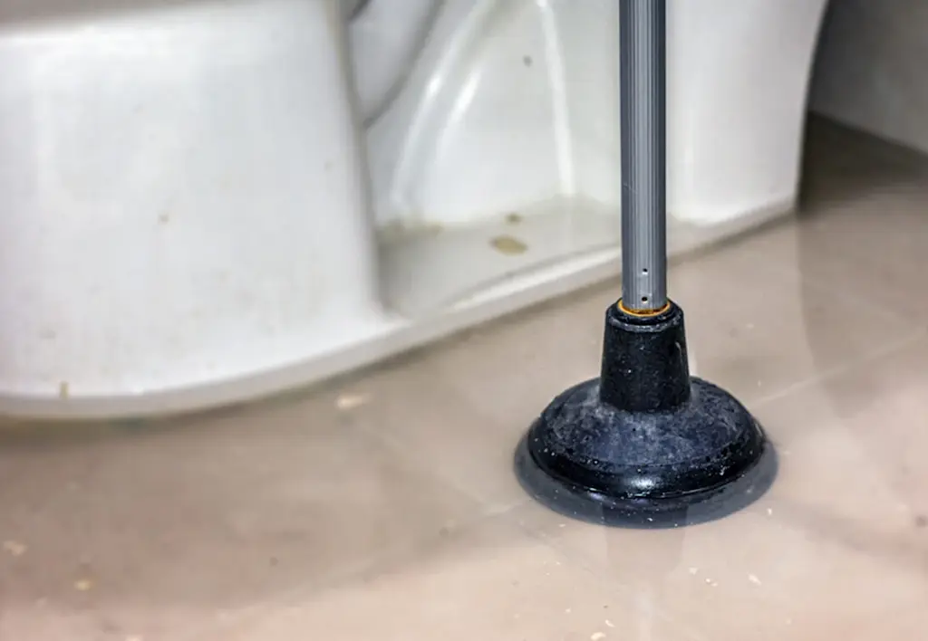 Overflowing toilet with plunger
