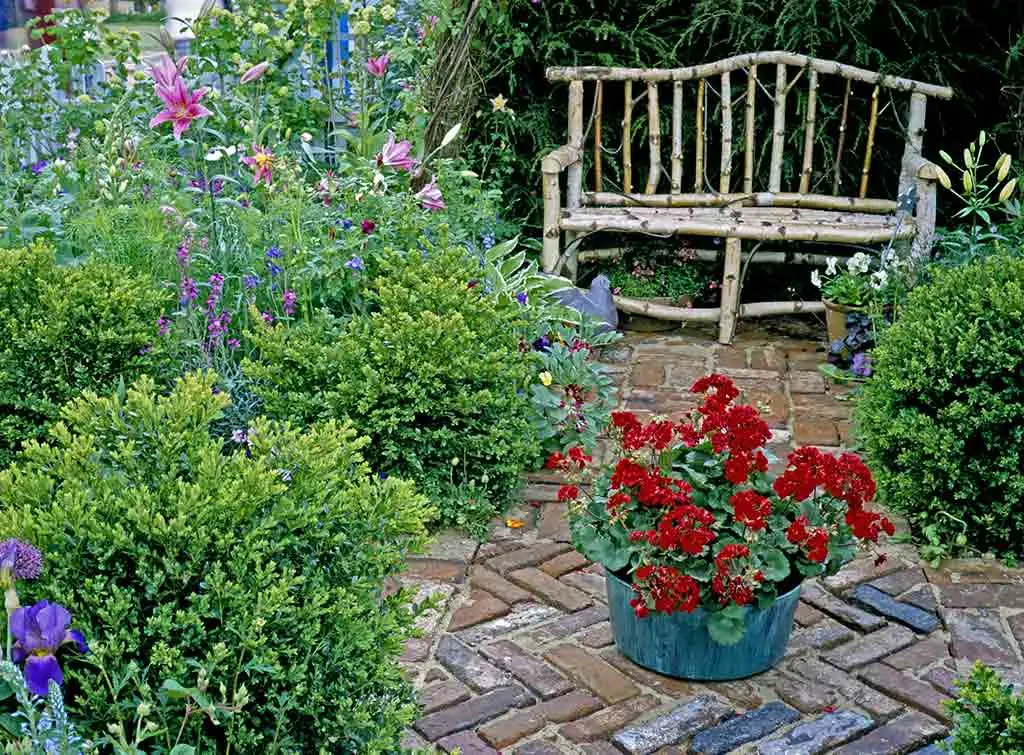 Cottage courtyard garden ideas