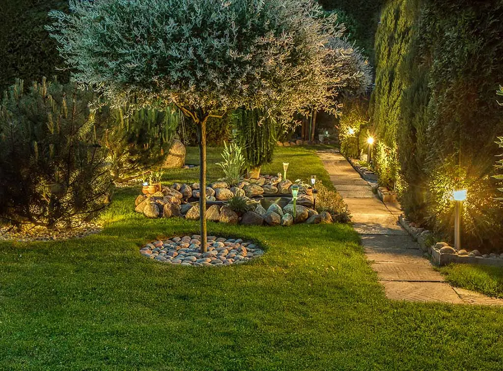 How to use trees in an eco-friendly garden