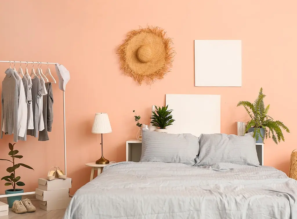 Peach feature wall