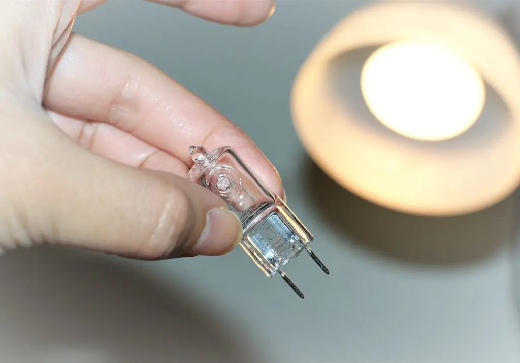 holding-g4-halogen-bulb-ceiling-light