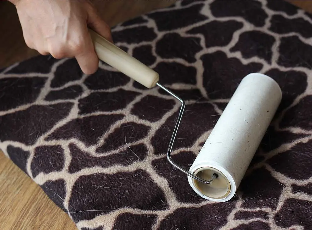 dog hair removal lint