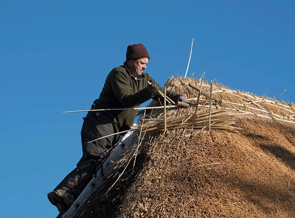 https://www.checkatrade.com/blog/wp-content/uploads/2021/10/learn-to-thatch.jpg