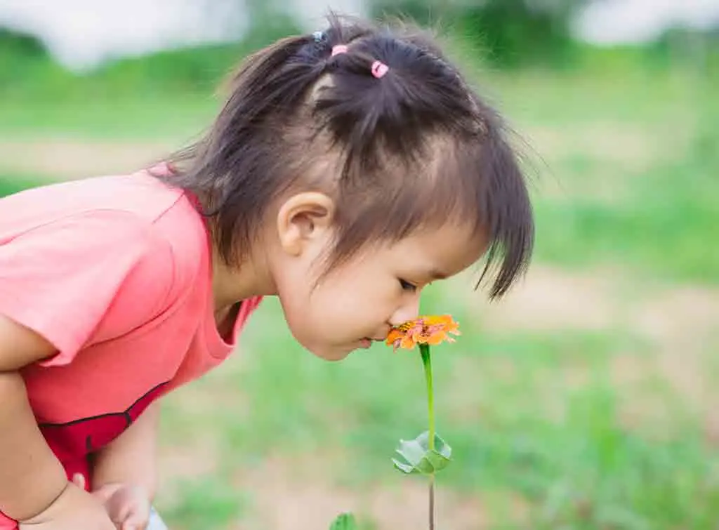 Flowers for touch and interest