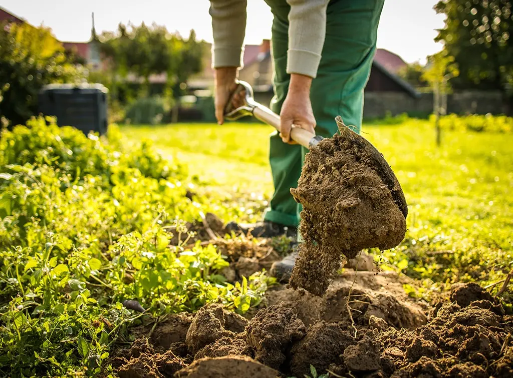 https://www.checkatrade.com/blog/wp-content/uploads/2023/09/landscape-gardener.jpg