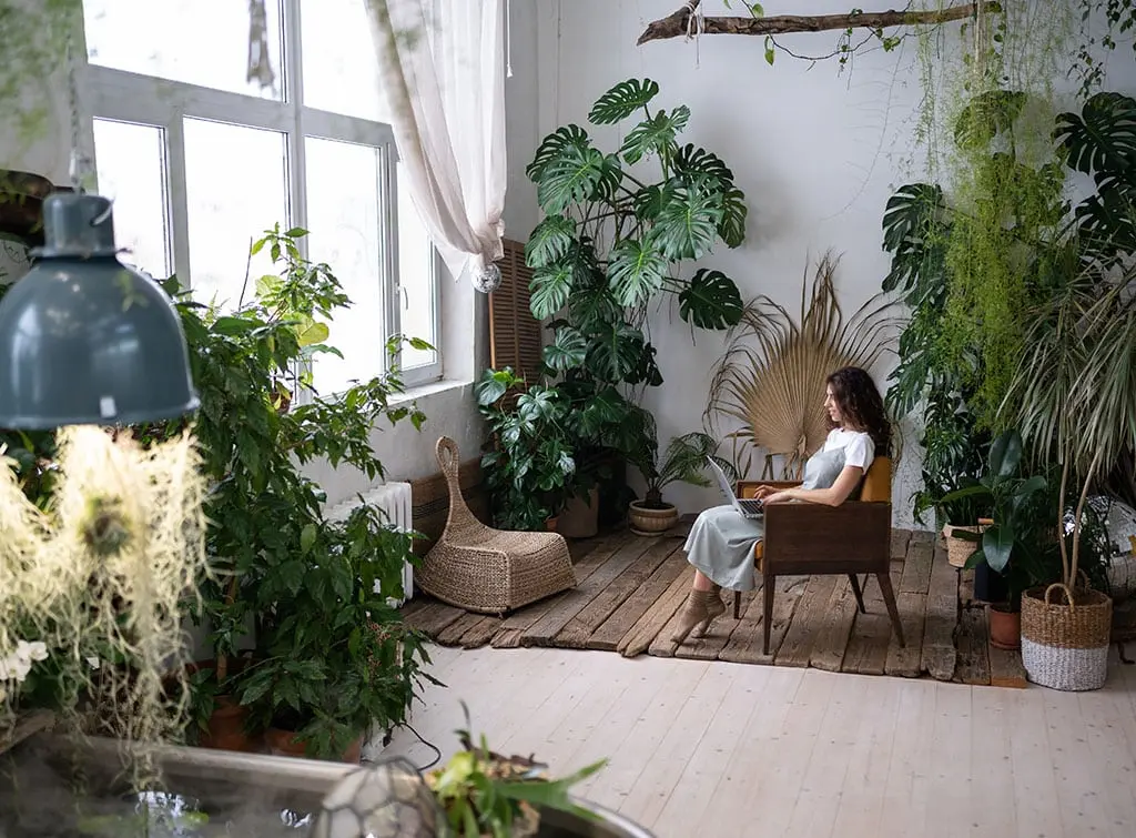work from home urban jungle