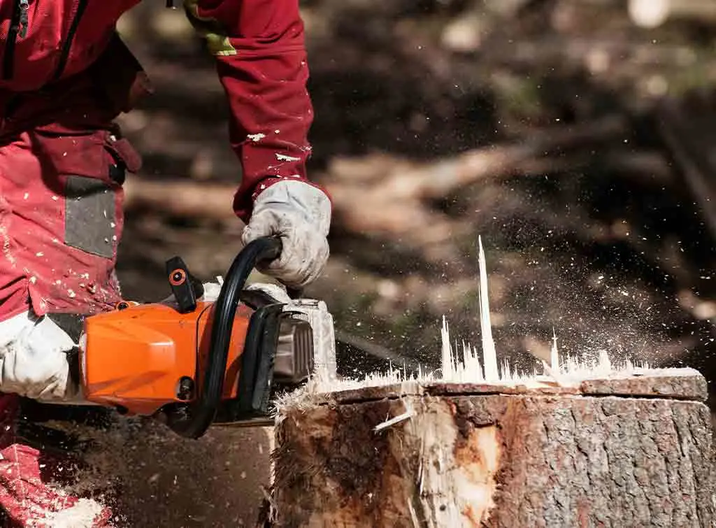 How to sharpen a chainsaw