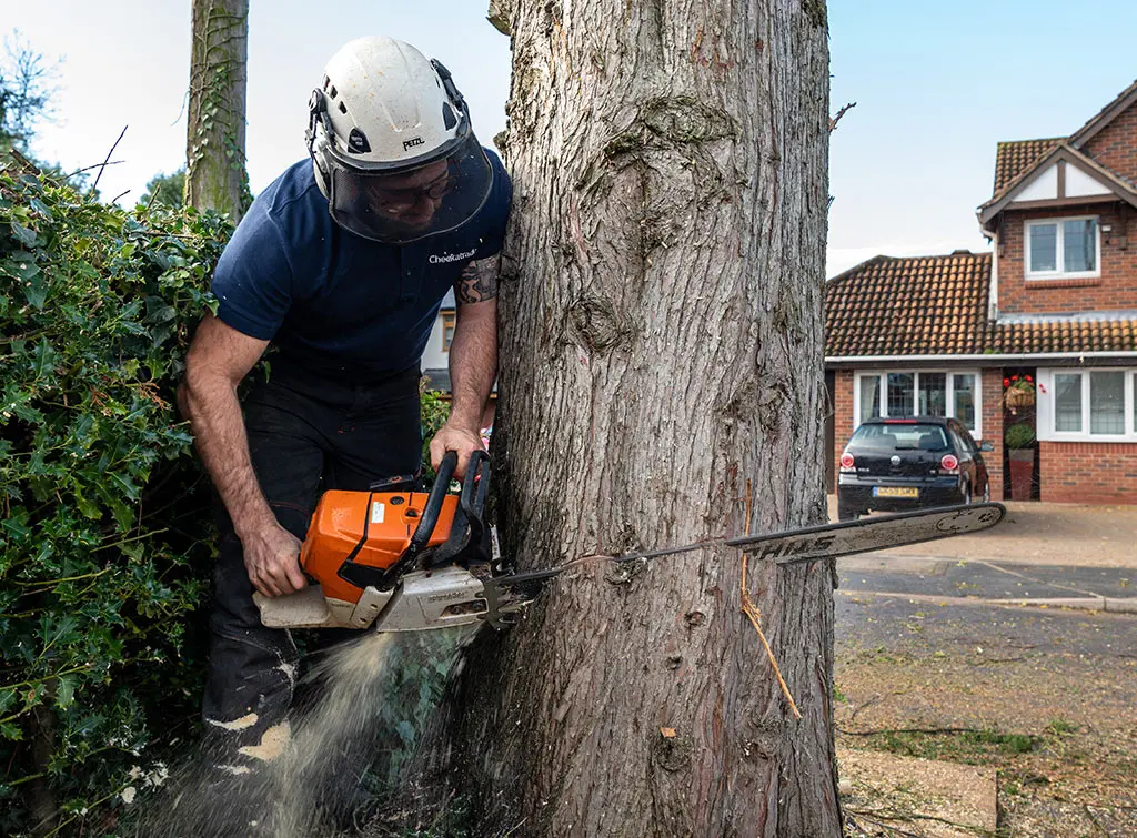 https://www.checkatrade.com/blog/wp-content/uploads/2019/08/tree-surgeon-with-chainsaw.jpg