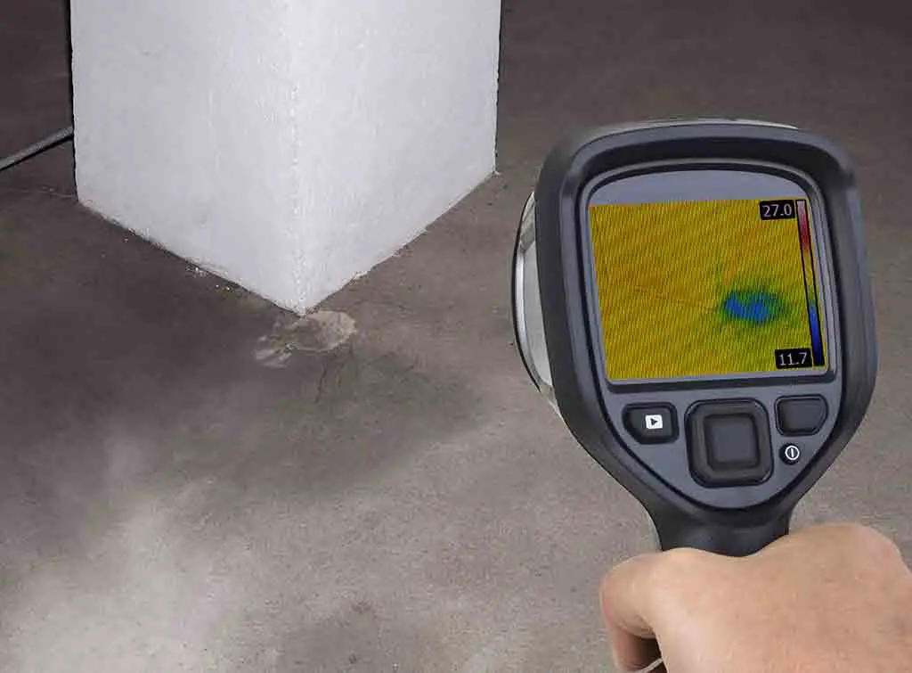 What is involved in a damp survey