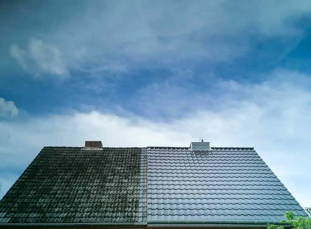 Half removed moss on roof tiles