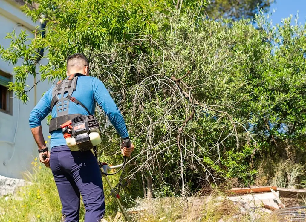 Garden clearance by tradesperson