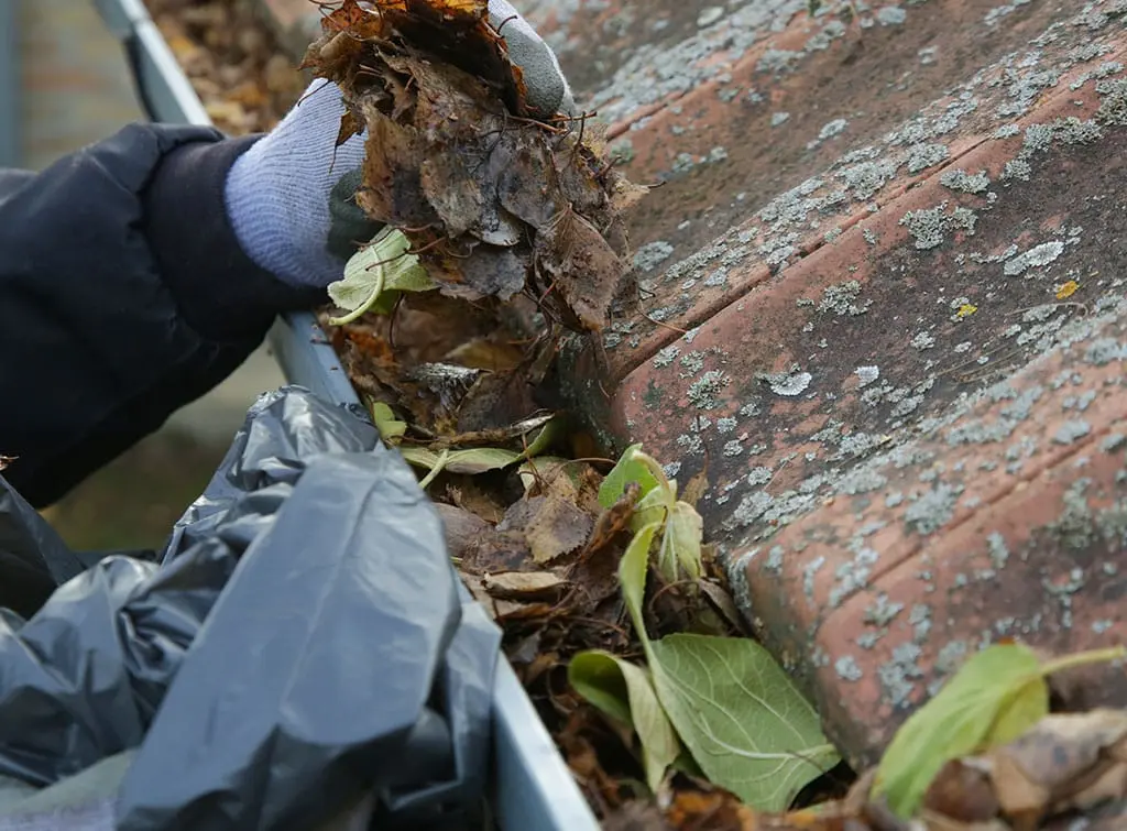 gutters being cleaned