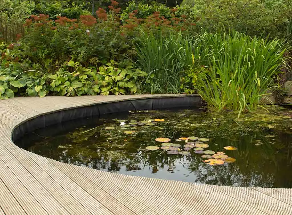 plan it around a pond
