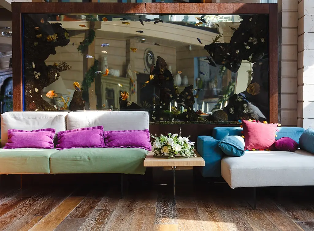 large fish tank wall divider