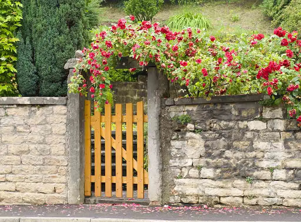Wood gate ideas stripped back