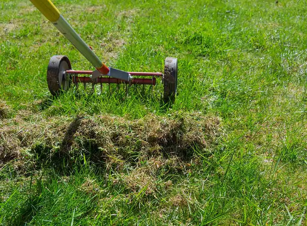 Lawn scarification cost