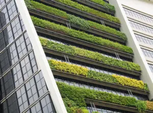 green roof alternatives