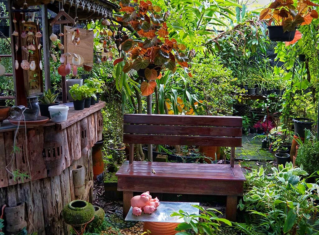 https://www.checkatrade.com/blog/wp-content/uploads/2023/07/Rainforest-style-bar_.jpg