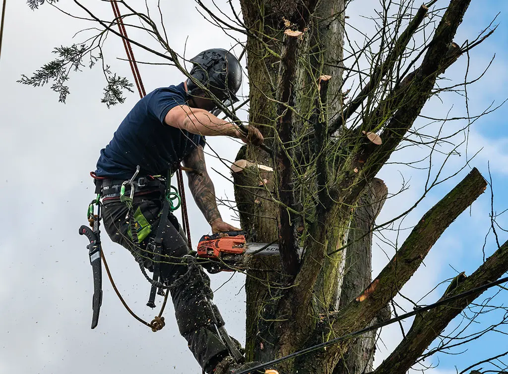 https://www.checkatrade.com/blog/wp-content/uploads/2023/09/PUWER-article.jpg