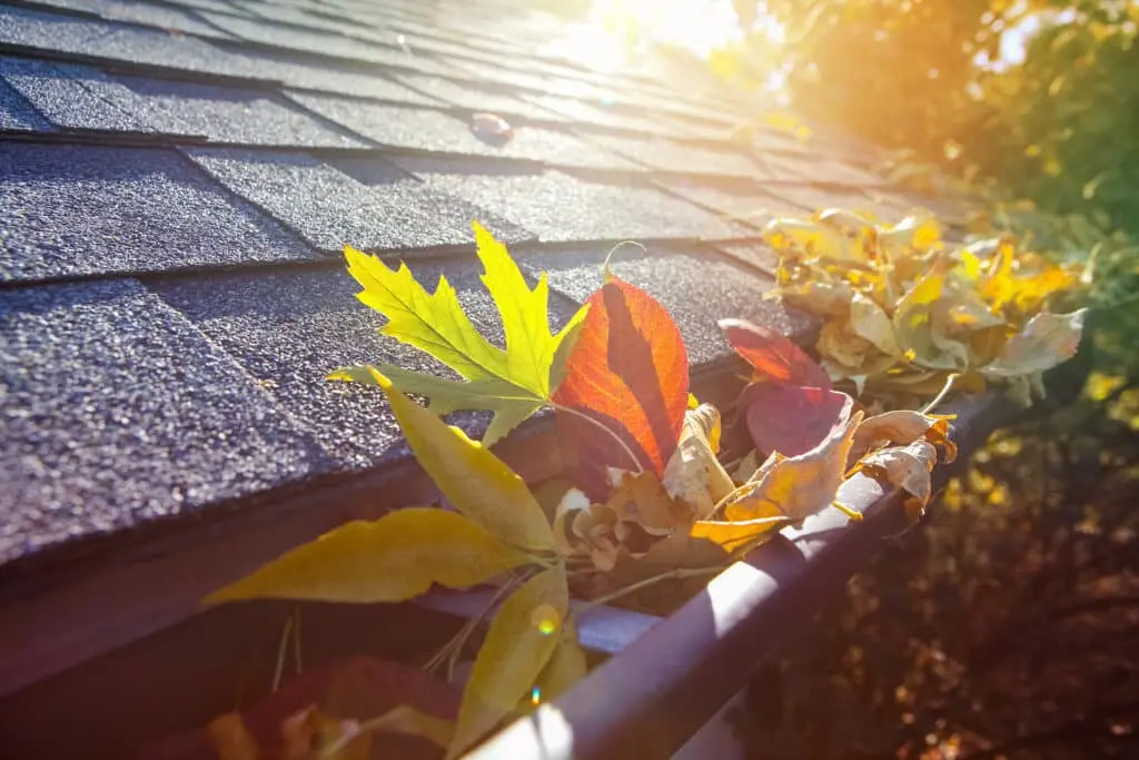 how much does gutter cleaning cost in UK?