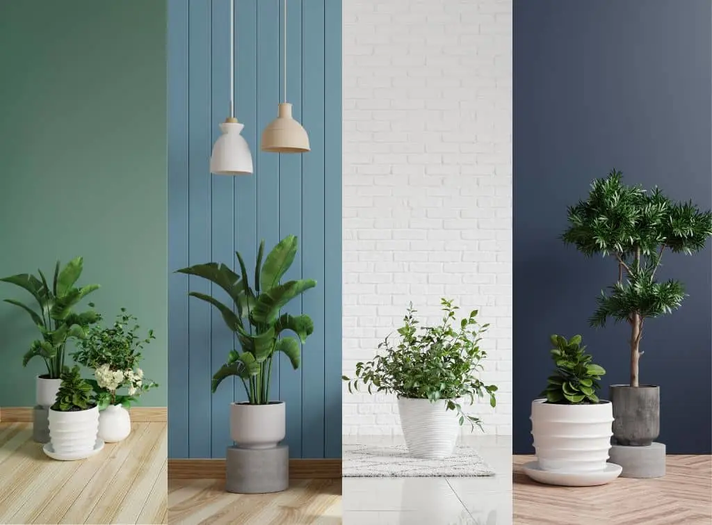 Summer house painting ideas for a botanical interior