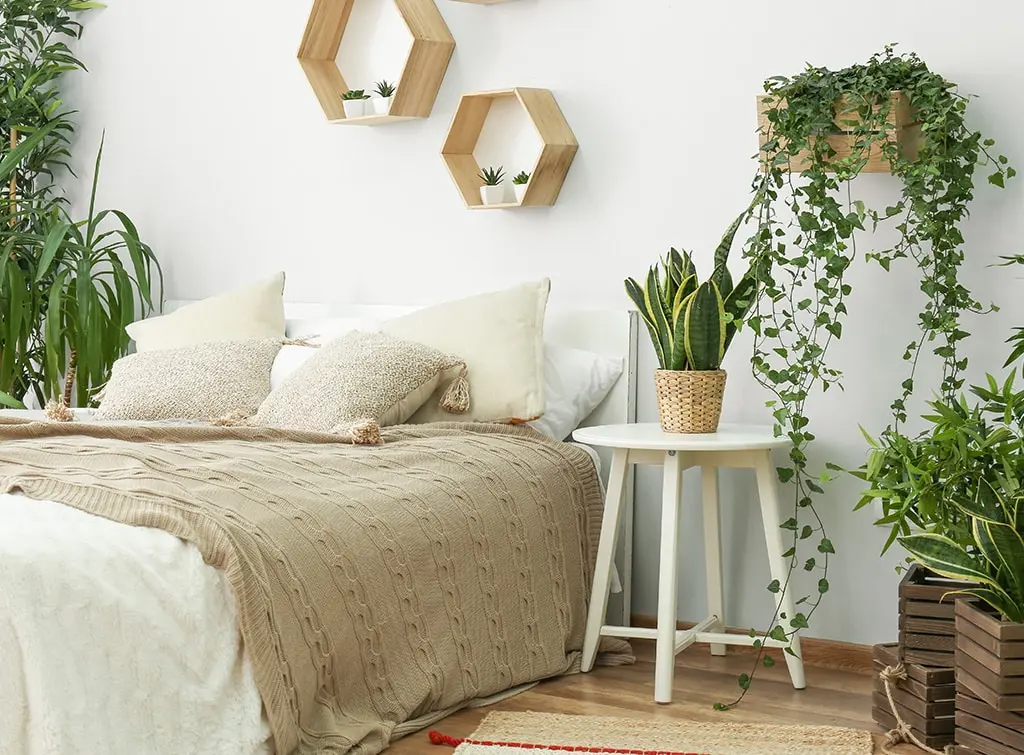 Houseplants feature wall ideas