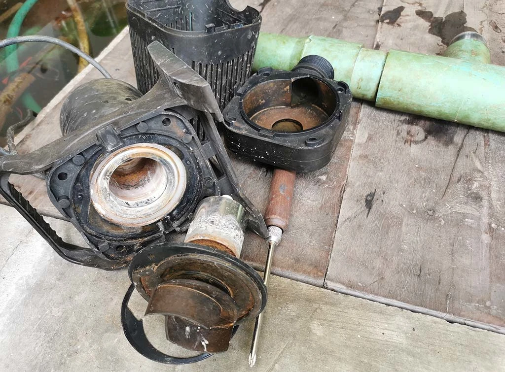 https://www.checkatrade.com/blog/wp-content/uploads/2023/10/pond-maintenance-1.jpg