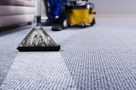 How much do carpet cleaners earn?