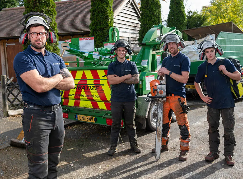 Tree surgeon name ideas