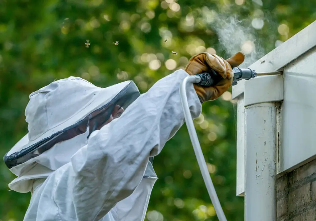technician-treating-wasp-nest-roof-eave