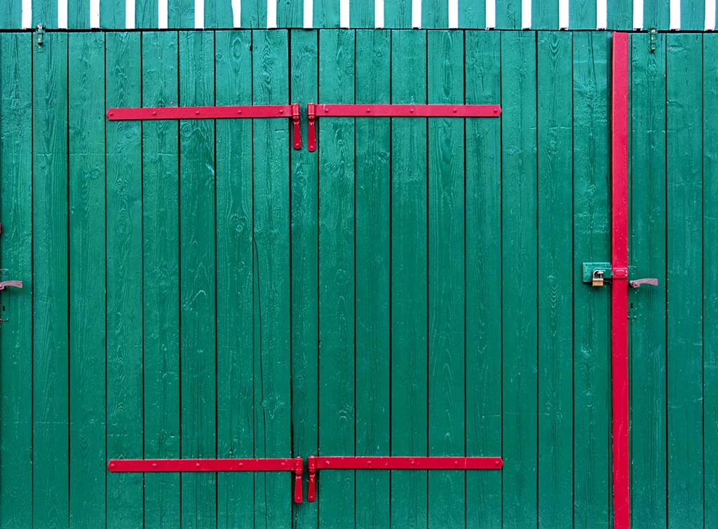 bold garage door paint