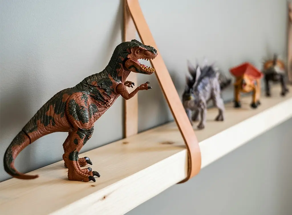 Dinosaur bedroom decor shelf