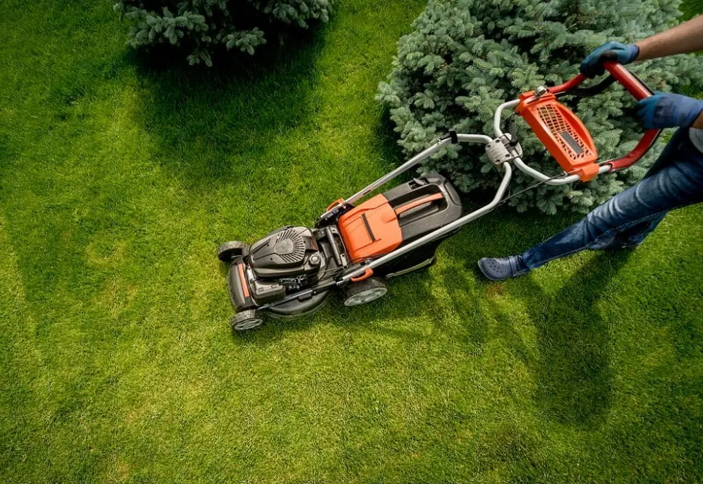 https://www.checkatrade.com/blog/wp-content/uploads/2024/06/setting-up-a-grass-cutting-business-1024x706.jpeg