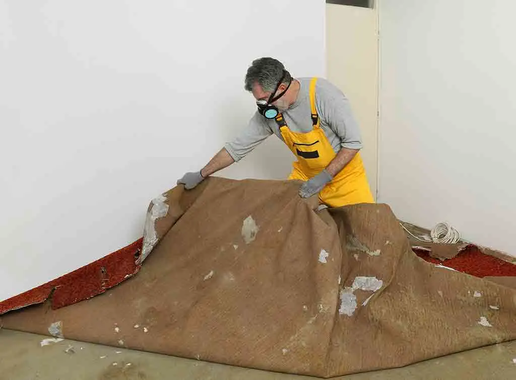 Cost to remove and replace carpet in house