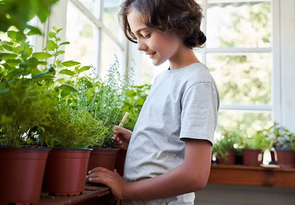 child gardening in orangery