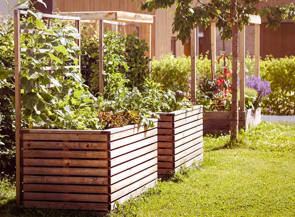 raised border ideas - choose the right location 