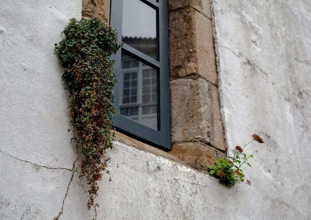 Fitted secondary glazing in period property (1)