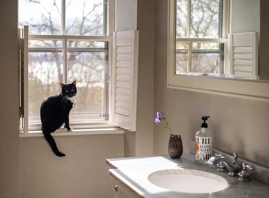 cafe style window shutters