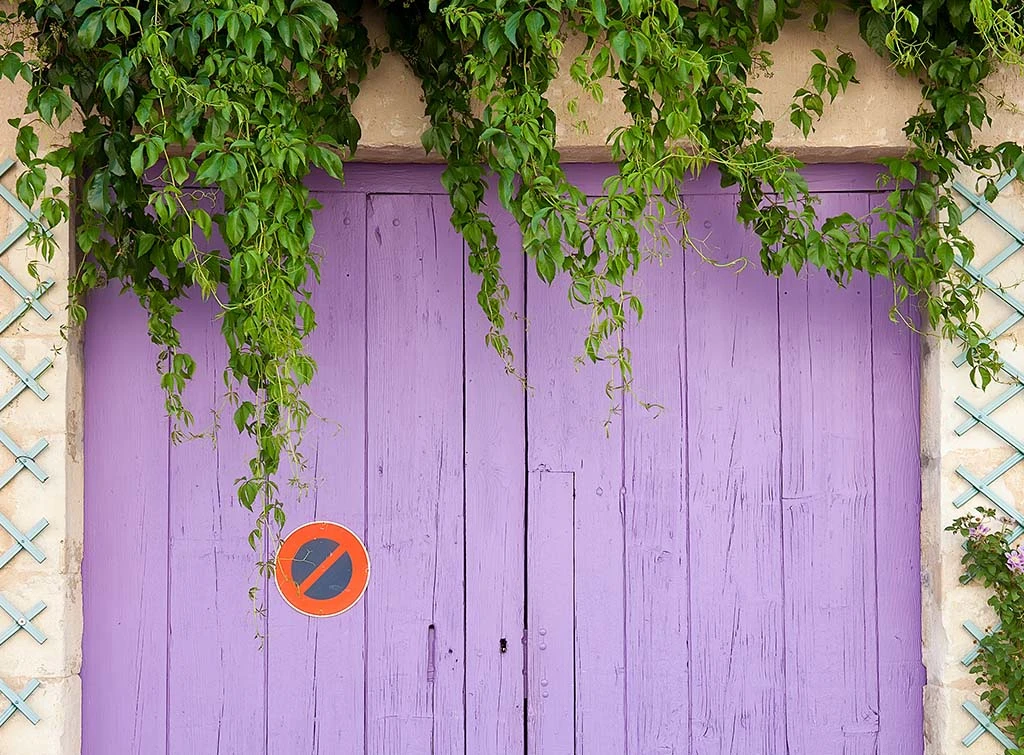 pretty lilac garage door paint