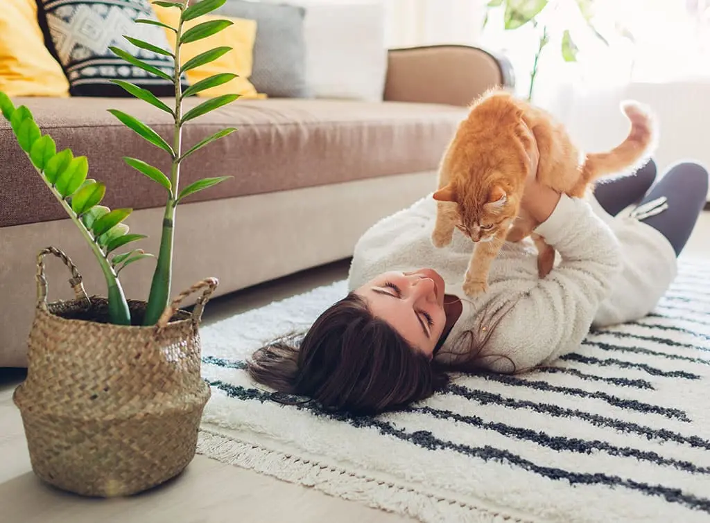Cat owner next to a pet-friendly houseplant