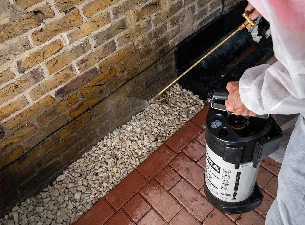 https://www.checkatrade.com/blog/wp-content/uploads/2024/04/pest-control-marketing-ideas-new-imagery-1.jpg