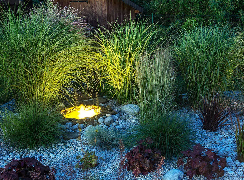 Uplighting Plants for Garden